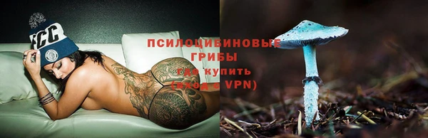 СК Волосово