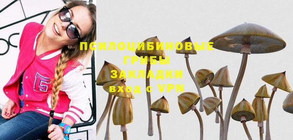 apvp Волоколамск