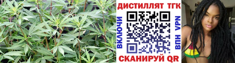 ТГК вейп с тгк Купить закладки Могоча