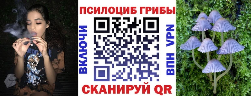 Купить  Могоча  Псилоцибиновые грибы ЛСД 